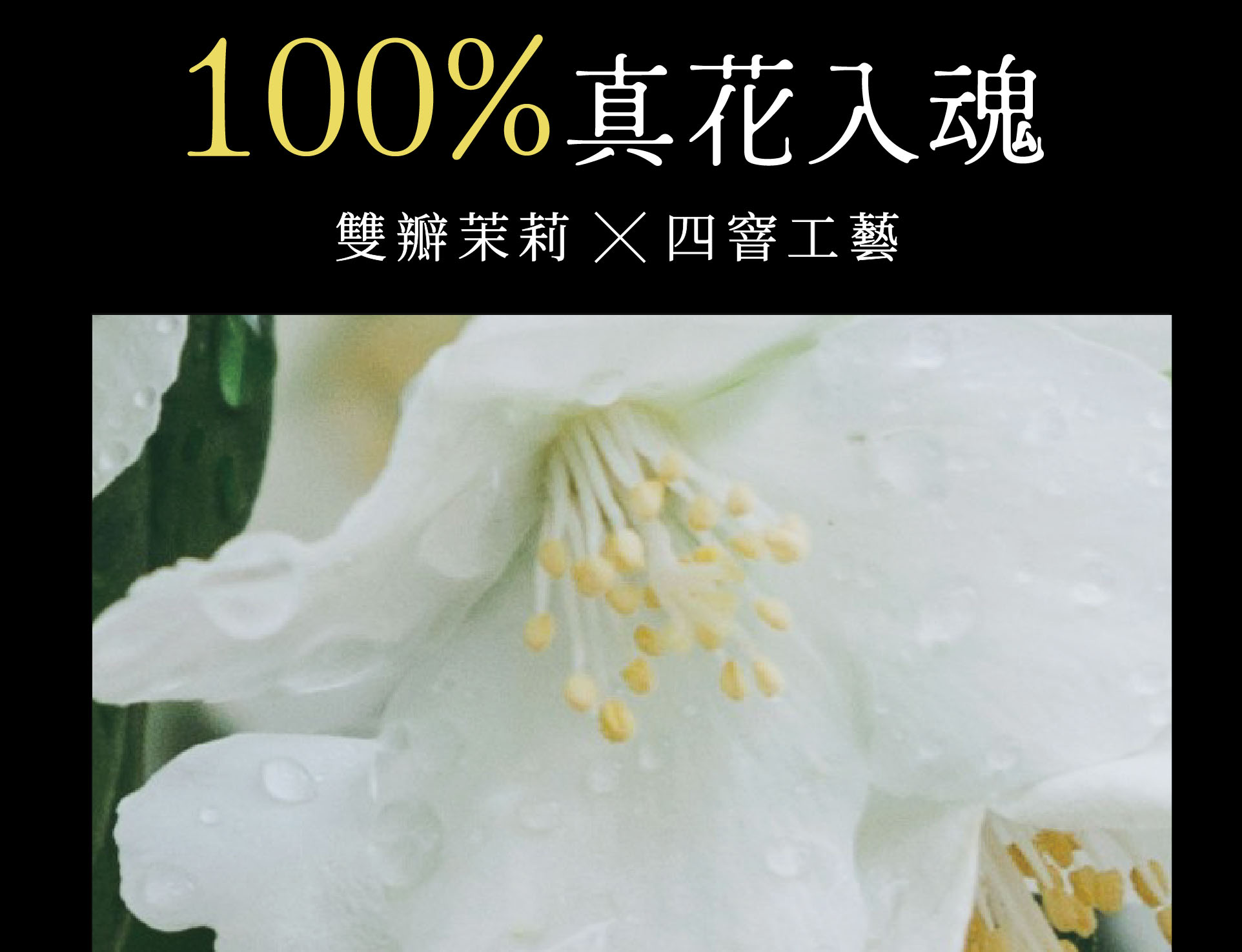 真花真香，一入口就感受到茉莉花香濃郁的滋味，香氣入骨