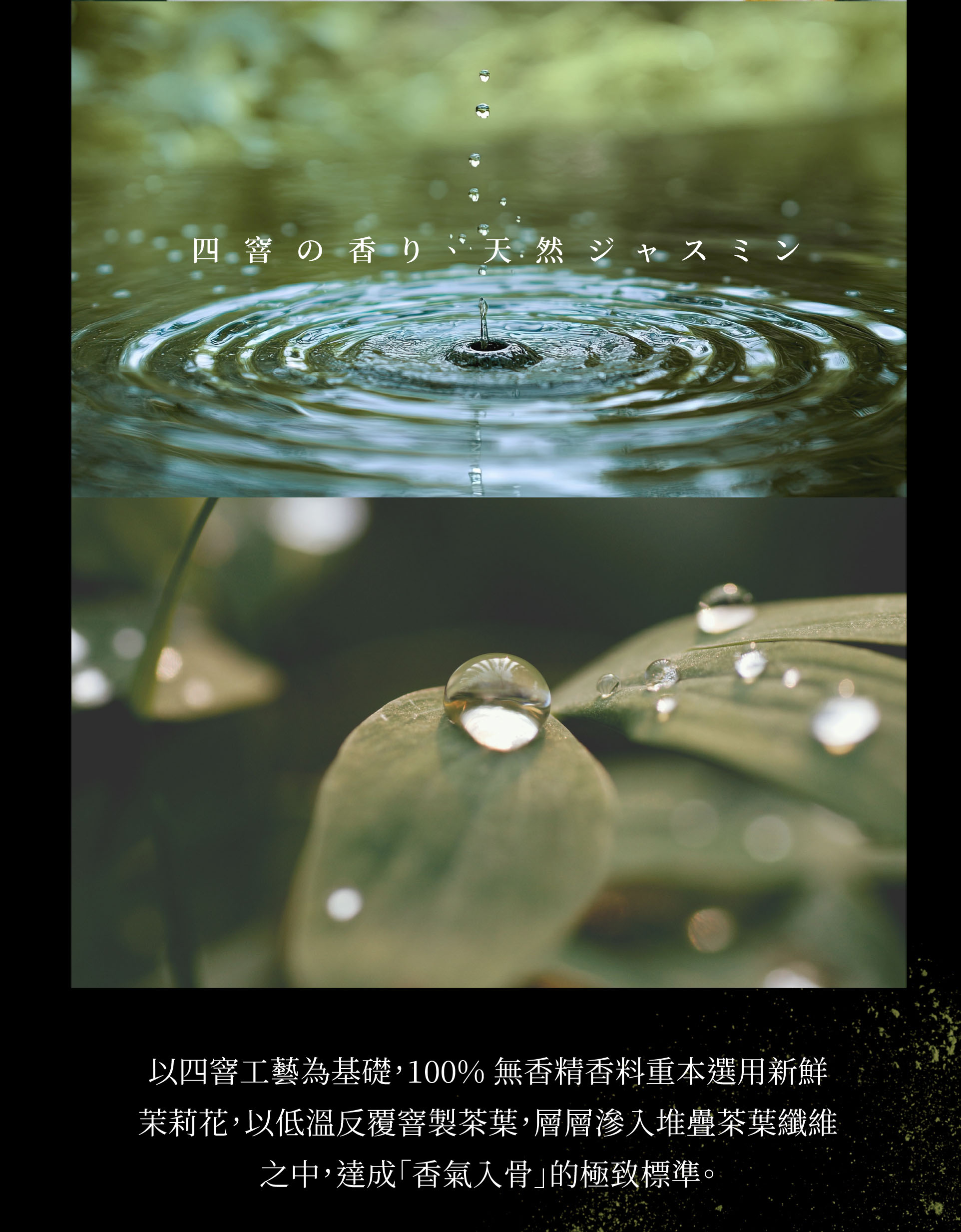 重本選用新鮮茉莉花，讓純粹自然的花香，從茶湯濃郁釋放。